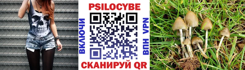 Купить  Ершов  Галлюциногенные грибы MAGIC MUSHROOMS 